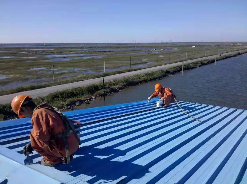 通海口镇彩钢瓦屋面防腐翻新